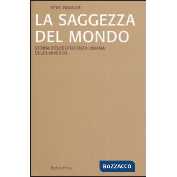 Saggezza del mondo. Storia dell'esperienza umana dell'universo (La)