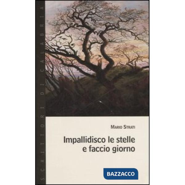 Impallidisco le stelle e faccio giorno