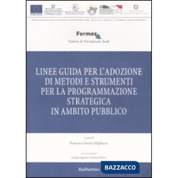 Linee guida per l'adozione di metodi e strumenti per la programmazione