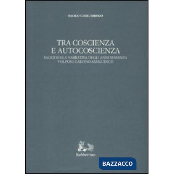 Tra coscienza e autocoscienza. Saggi sulla narrativa degli anni sessanta. Volponi, Calvino, Sanguineti