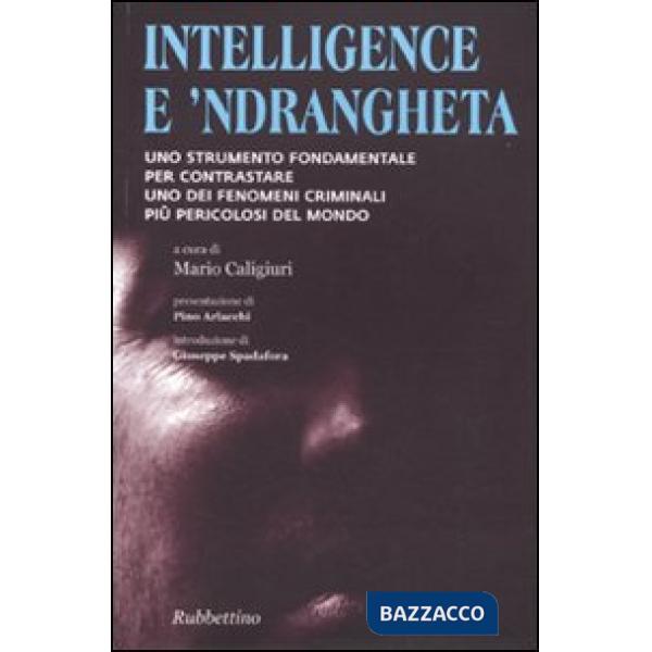 Intelligence e 'ndrangheta. Uno strumento fondamentale per contrastare uno dei fenomeni criminali più pericolosi del mondo