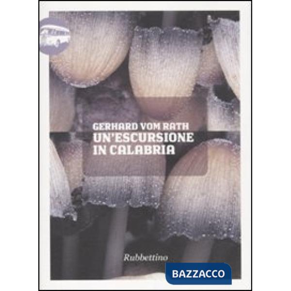 Escursione in Calabria (Un')