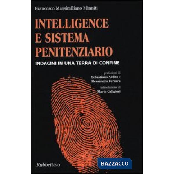 Intelligence e sistema penitenziario. Indagini in una terra di confine