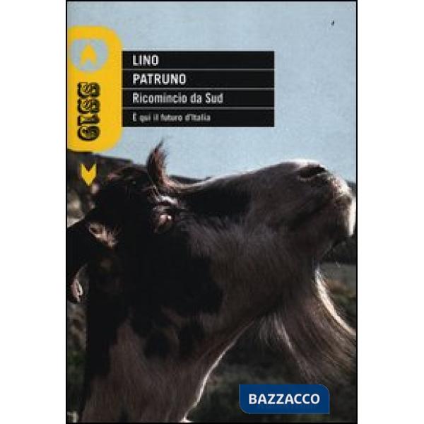 Ricomincio da Sud. È qui il futuro d'Italia