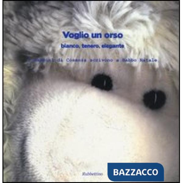Voglio un orso. Bianco, tenero, elegante. I bambini di Cosenza scrivono a Babbo Natale