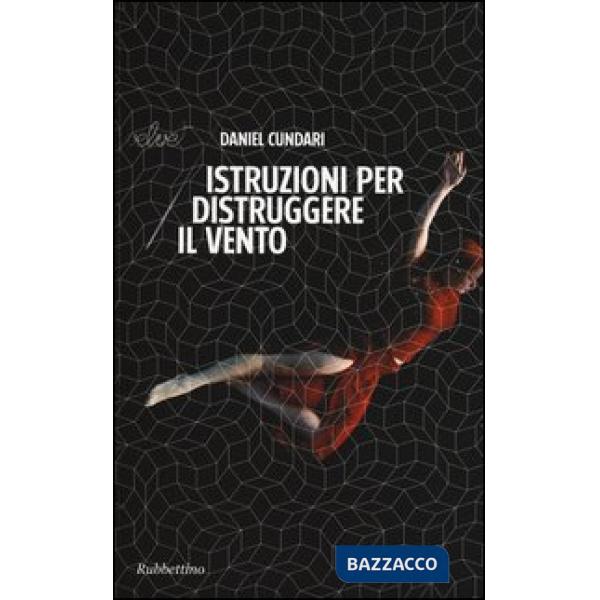 Istruzioni per distruggere il vento