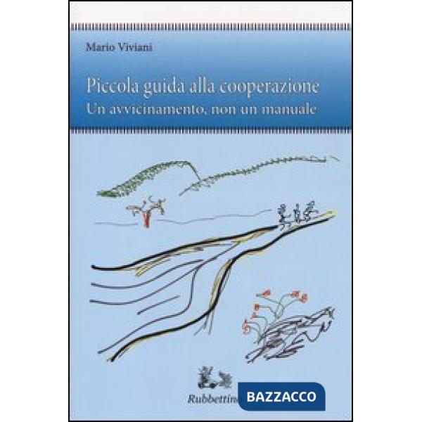 Piccola guida alla cooperazione. Un avvicinamento, non un manuale