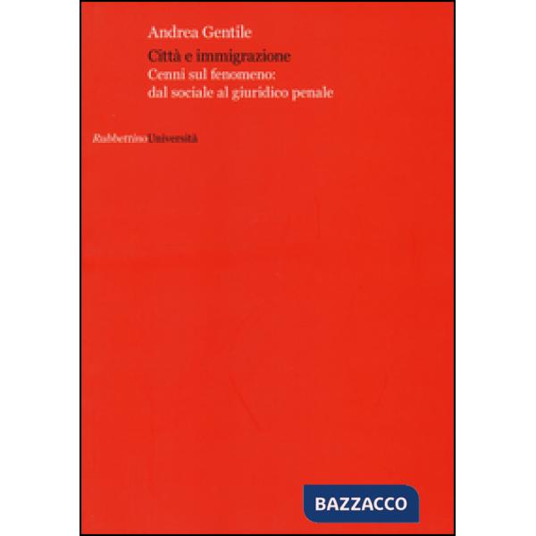 Città e immigrazione. Cenni sul fenomeno: dal sociale al giuridico penale