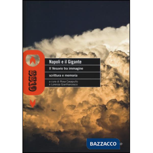 Napoli e il gigante. Il Vesuvio tra immagine scrittura e memoria