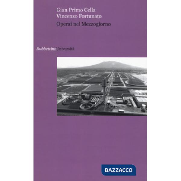 Operai nel Mezzogiorno