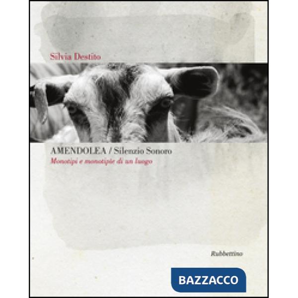 Amendolea silenzio sonoro. Monotipi e monotipie di un luogo