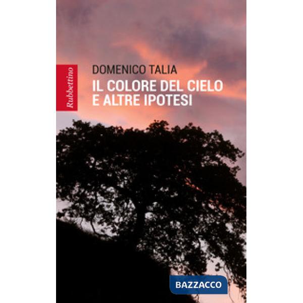 Colore del cielo e altre ipotesi (Il)