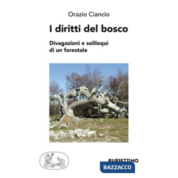 Diritti del bosco. Divagazioni e soliloqui di un forestale (I)