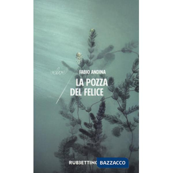 Pozza del felice (La)