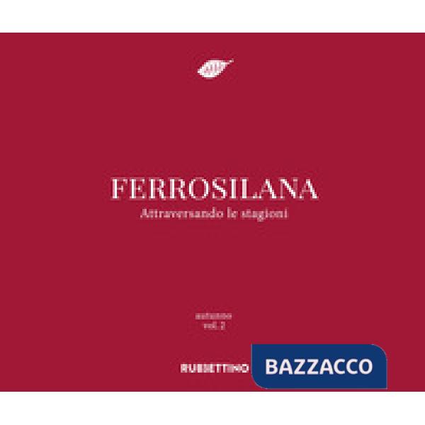Ferrosilana. Attraversando le stagioni. Vol. 2