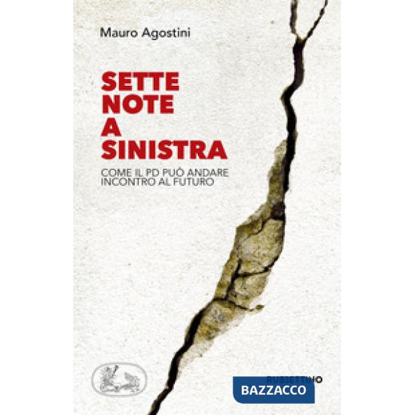 Sette note a sinistra. Come il Pd può andare incontro al futuro