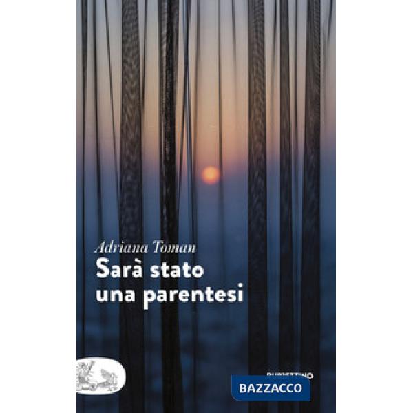 Sarà stato una parentesi