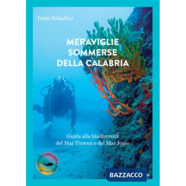Meraviglie sommerse della Calabria. Guida alla biodiversità del Mar Tirreno e del Mar Jonio