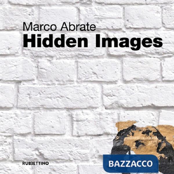 Hidden images