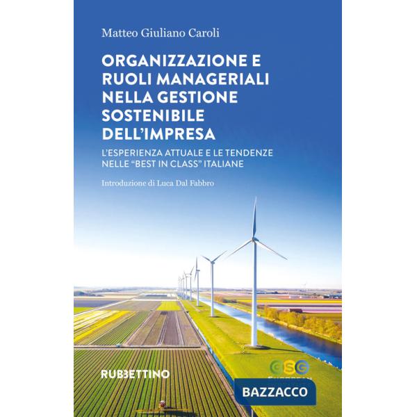 Organizzazione e ruoli manageriali nella gestione sostenibile dell'impresa. L'esperienza attuale e le tendenze nelle «best in cl