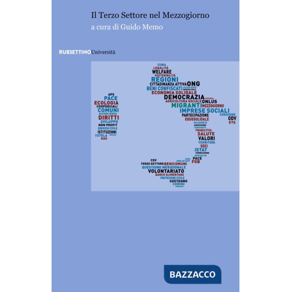 Terzo Settore nel Mezzogiorno (Il)