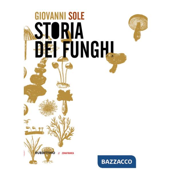 Storia dei funghi