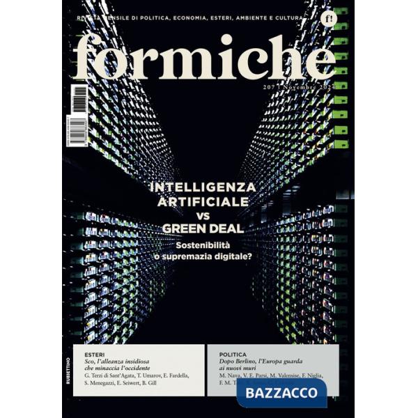 Formiche (2024). Vol. 207: Intelligenza Artificiale vs Green Deal. Sostenibilità o supremazia digitale?
