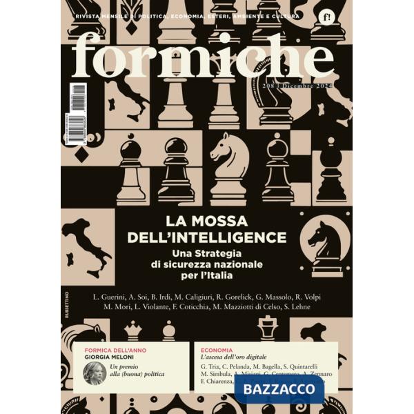 Formiche (2024). Vol. 208: La mossa dell'intelligence. Una strategia di sicurezza nazionale per l'Italia