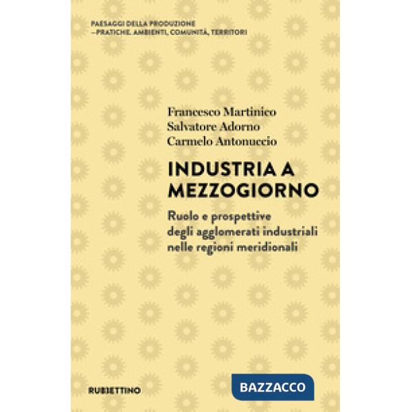 Industria a Mezzogiorno. Ruolo e prospettive degli agglomerati industriali nelle regioni meridionali