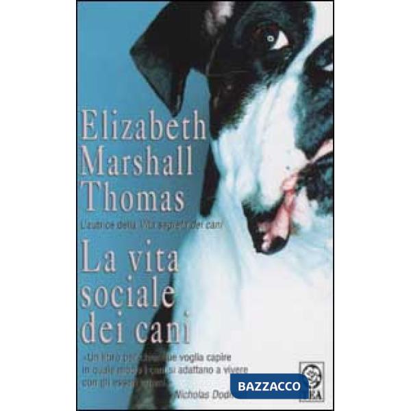 Vita sociale dei cani (La)