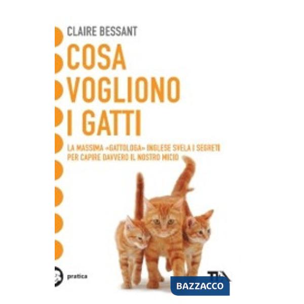 Cosa vogliono i gatti