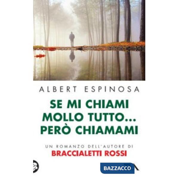 Se mi chiami mollo tutto... però chiamami