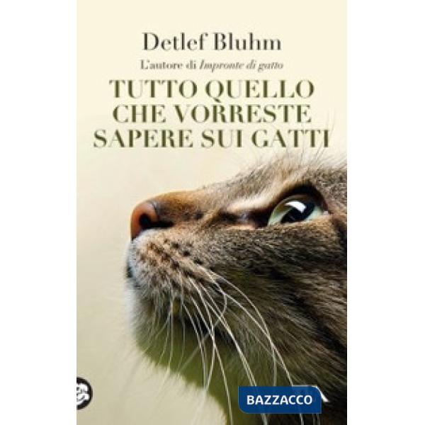 Tutto quello che vorreste sapere sui gatti