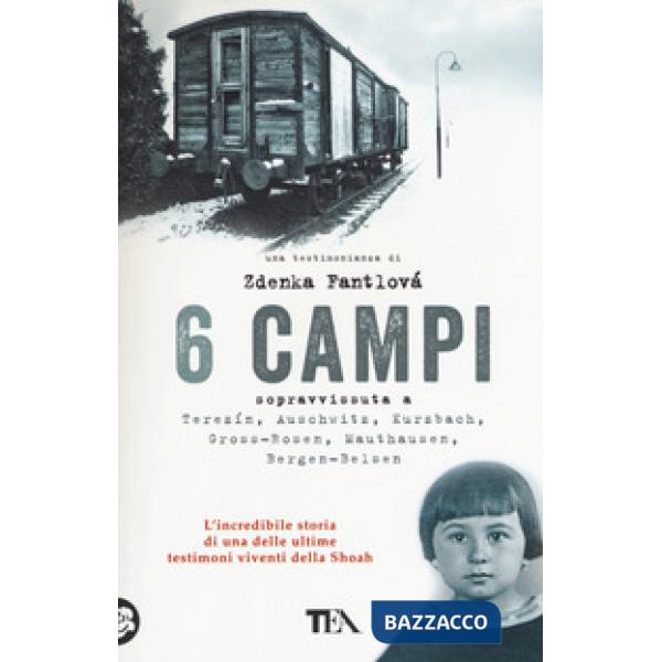 6 campi. Sopravvissuta a Terezín, Auschwitz, Kurzbach, Gross-Rosen, Mauthausen e Bergen-Belsen