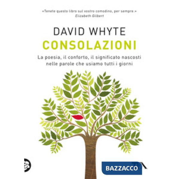 Consolazioni. La poesia, il conforto, il significato nascosti nelle parole che usiamo tutti i giorni