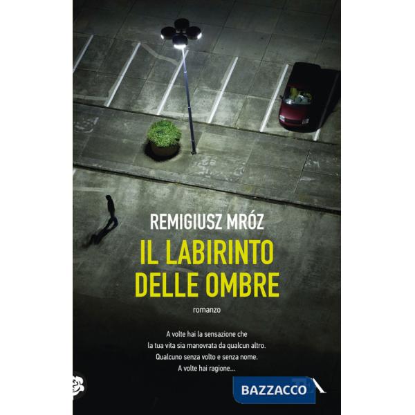 Labirinto delle ombre (Il)