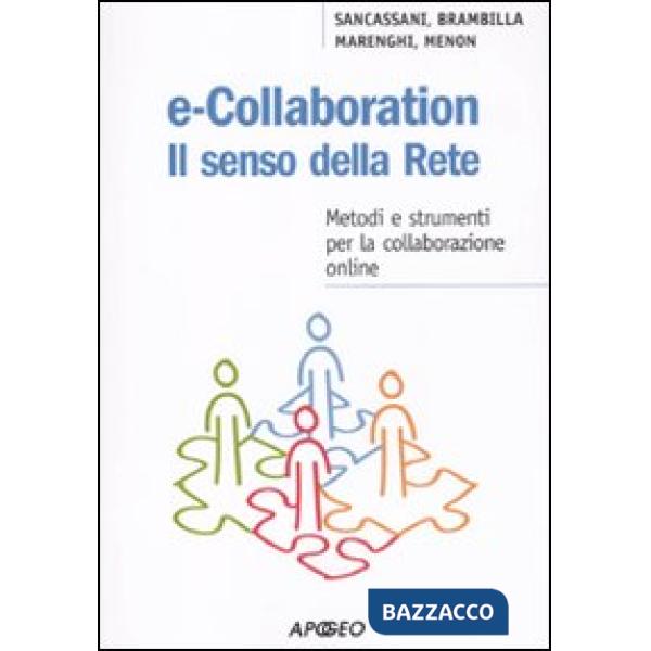E-collaboration. Il senso della rete. Metodi e strumenti per la collaborazione o