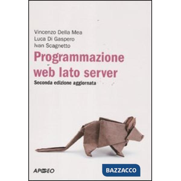 Programmazione web. Lato server