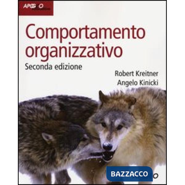Comportamento organizzativo