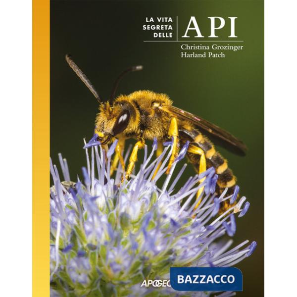 Vita segreta delle api (La)