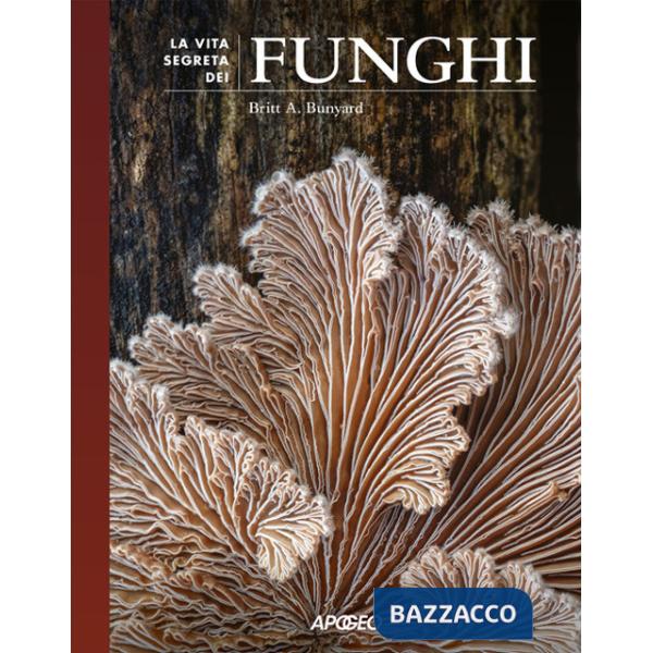 Vita segreta dei funghi (La)