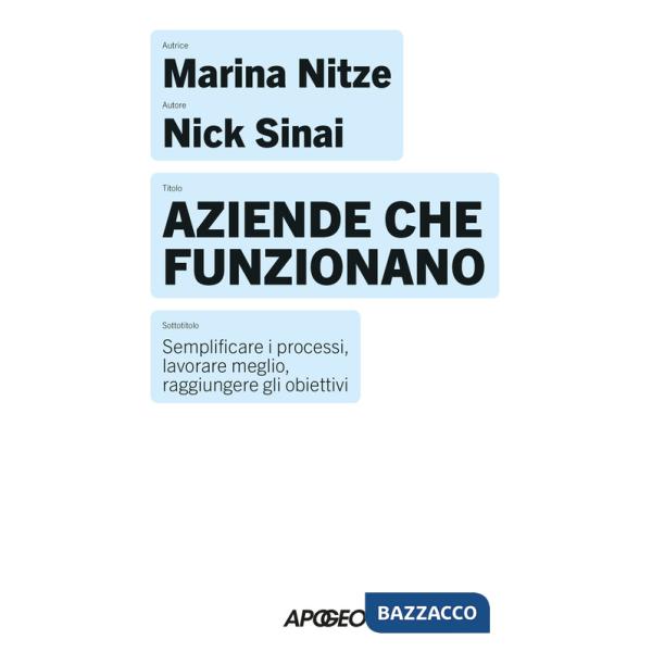 Aziende che funzionano. Semplificare i processi, lavorare meglio, raggiungere gli obiettivi