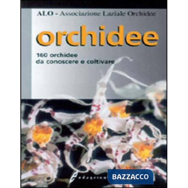 Orchidee
