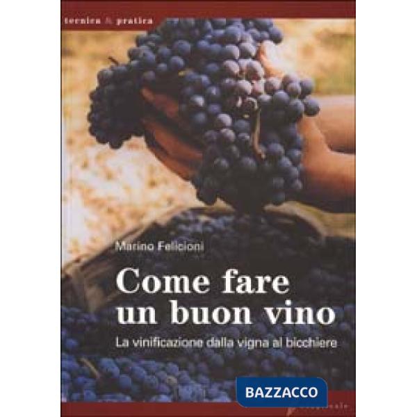 Come fare un buon vino. La vinificazione dalla vigna al bicchiere