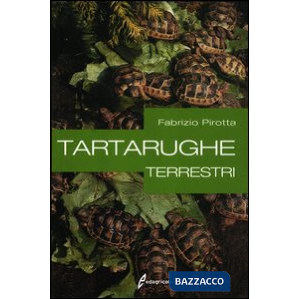 Tartarughe terrestri