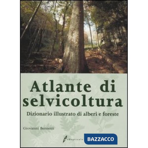 Atlante di selvicoltura. Dizionario illustrato di alberi e foreste