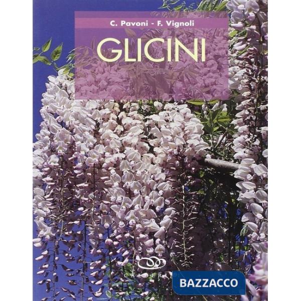 Glicini