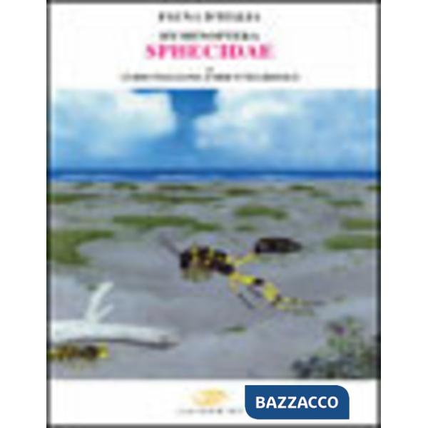 Hymenoptera sphecidae