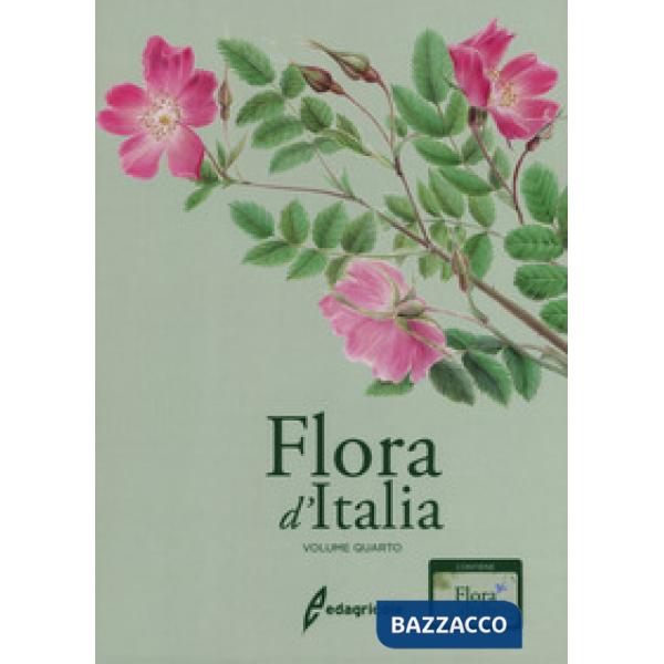 Flora d'Italia. Con USB Flash Drive. Vol. 4