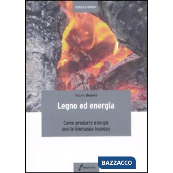 Legno ed energia. Come produrre energie con le biomasse legnose